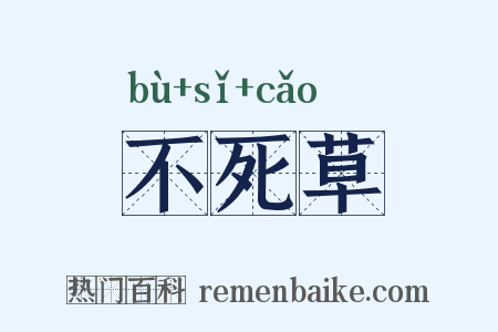 不死草是什么意思的图片
